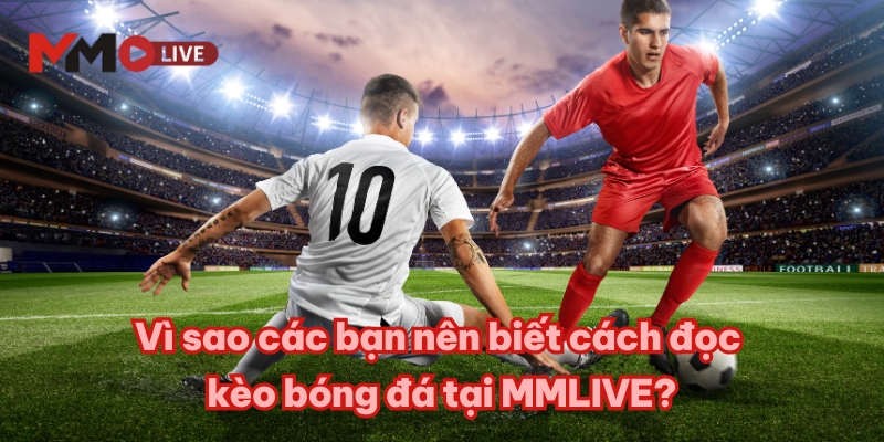 Vì sao các bạn nên biết cách đọc kèo bóng đá tại MMLIVE?